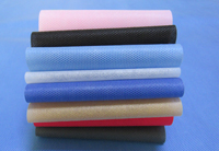 东洲涤纶（PET）无纺布是什么