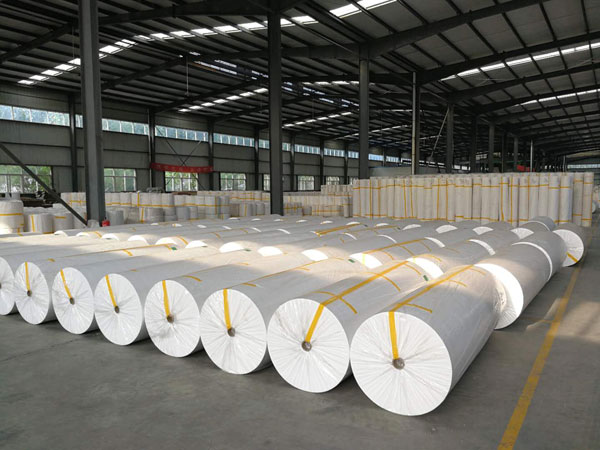 东洲狭缝式涤纶纺粘无纺布